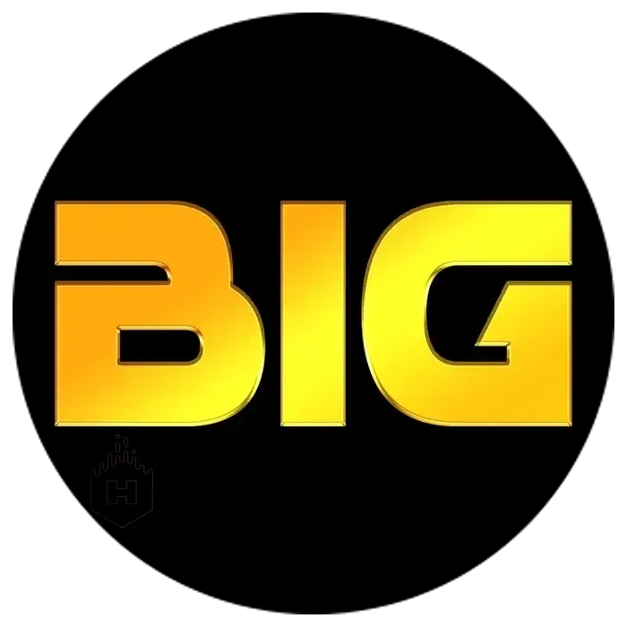 bighoki